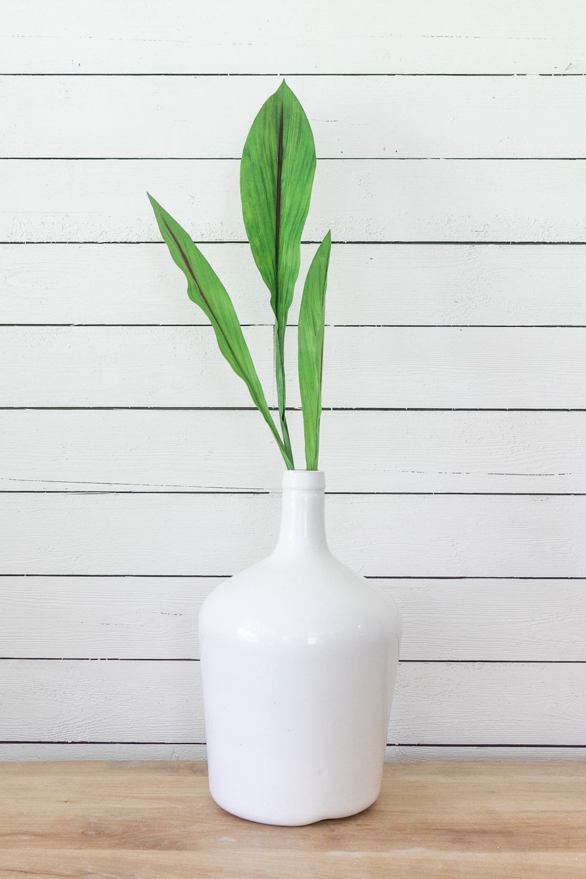 Curcuma Foliage Stem