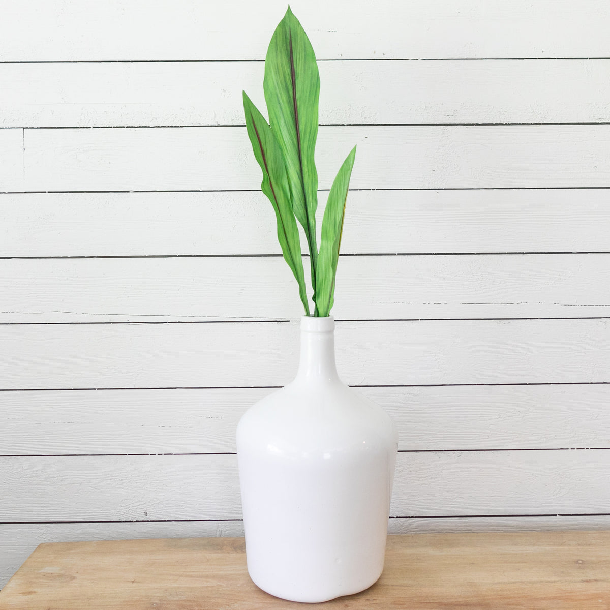 Curcuma Foliage Stem