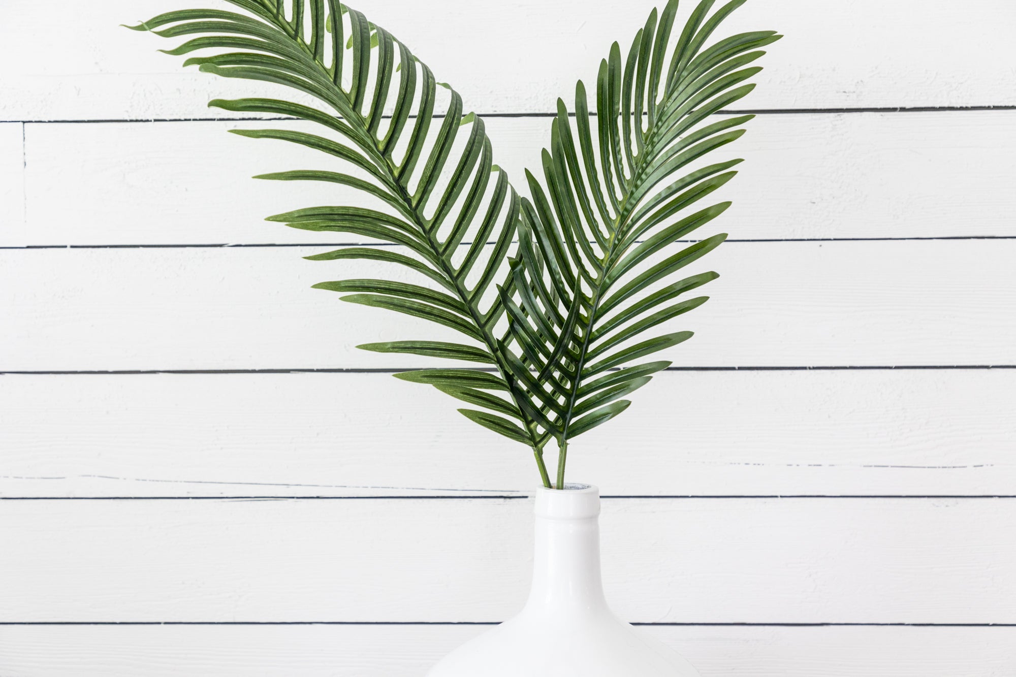plants palms pottery tampa Artificial Palm Fronds