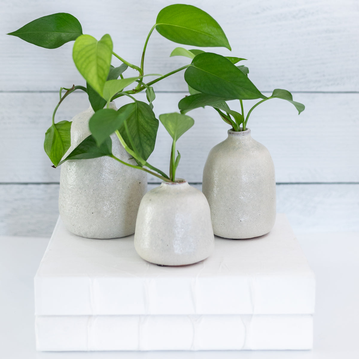 Grey Sand Vases (Set of 3)