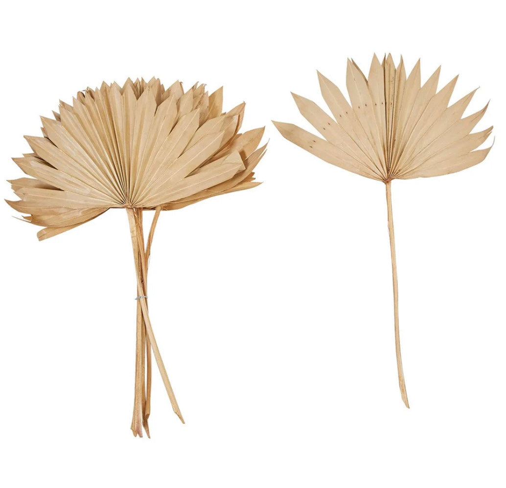 Dried Natural Palm Bunch