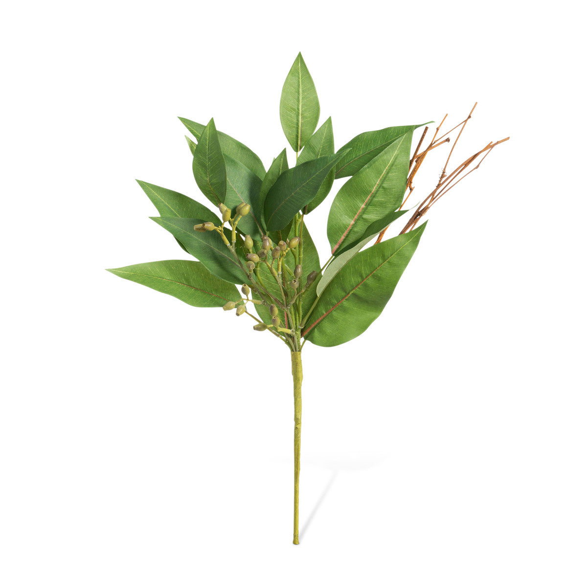 Seeded Eucalyptus Pick