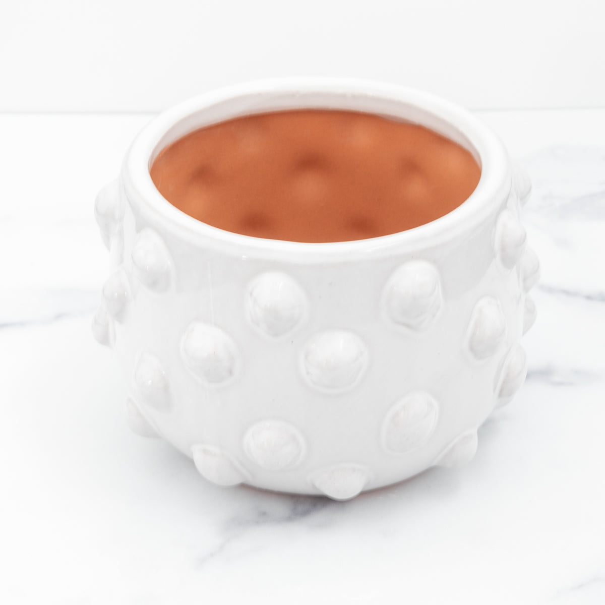 Small White Terra-cotta Planter