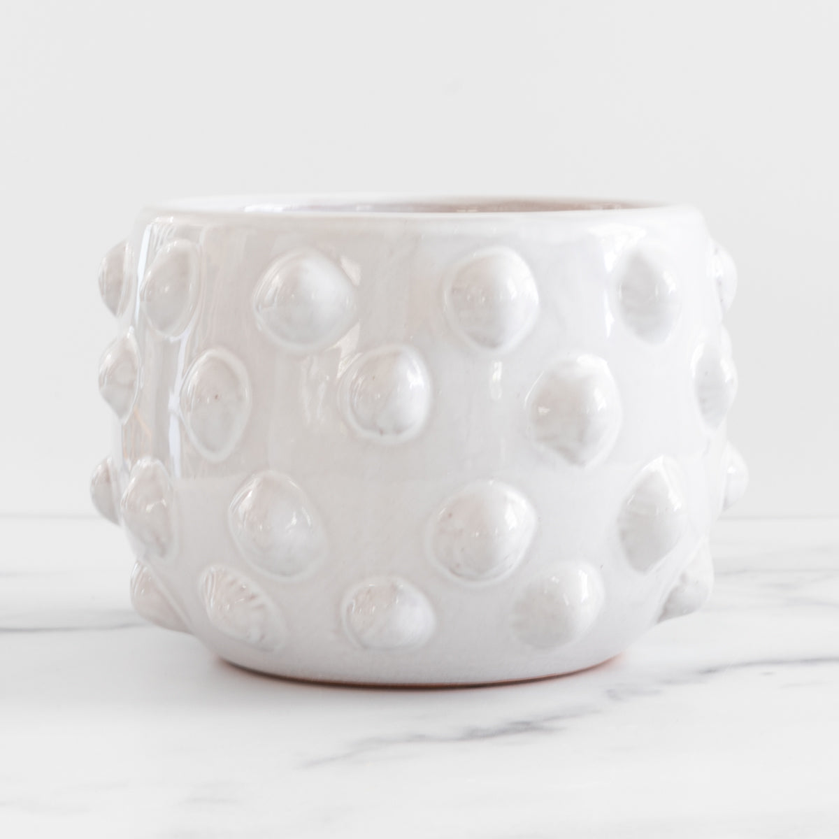 Small White Terra-cotta Planter
