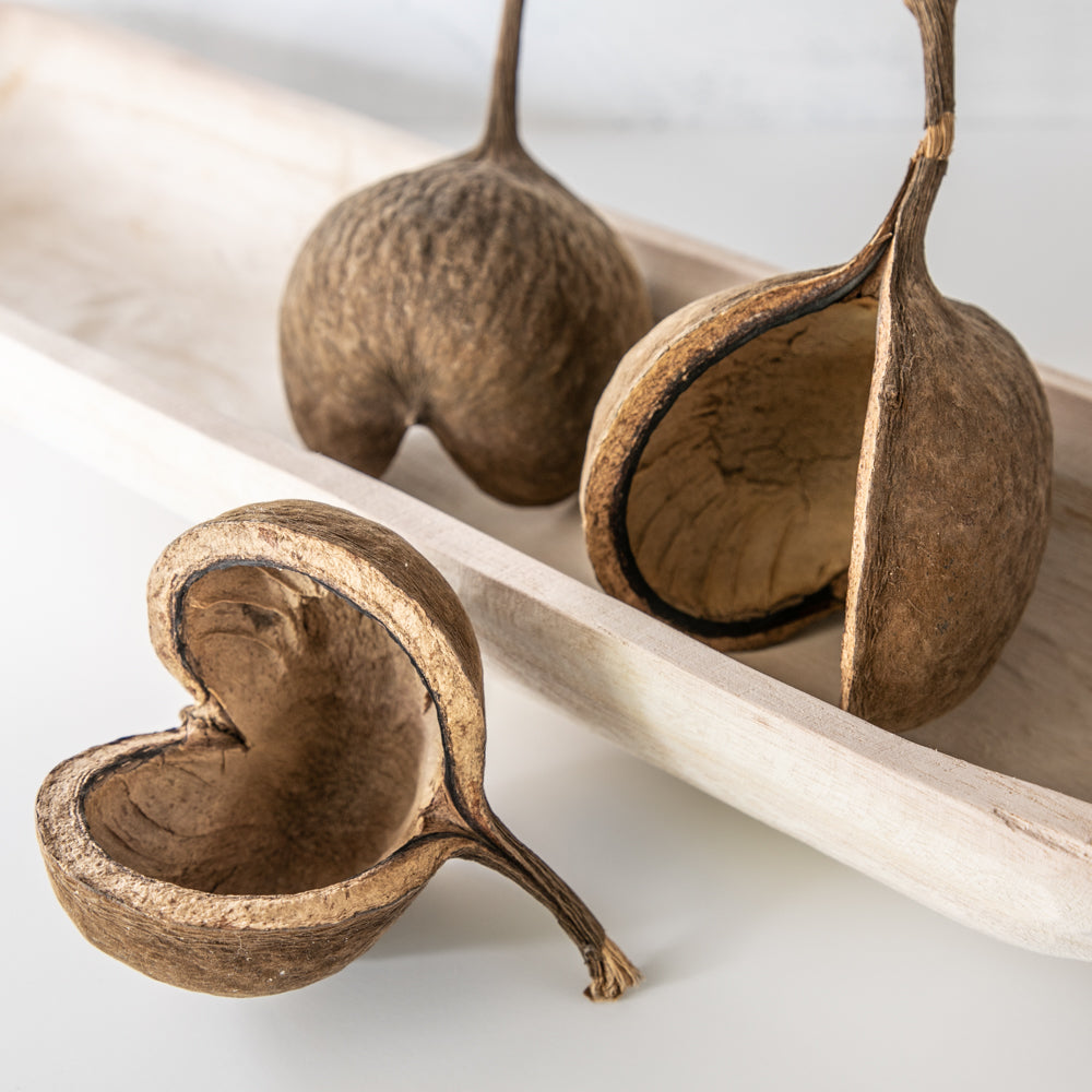 Dried Buddha Nuts Set of 3