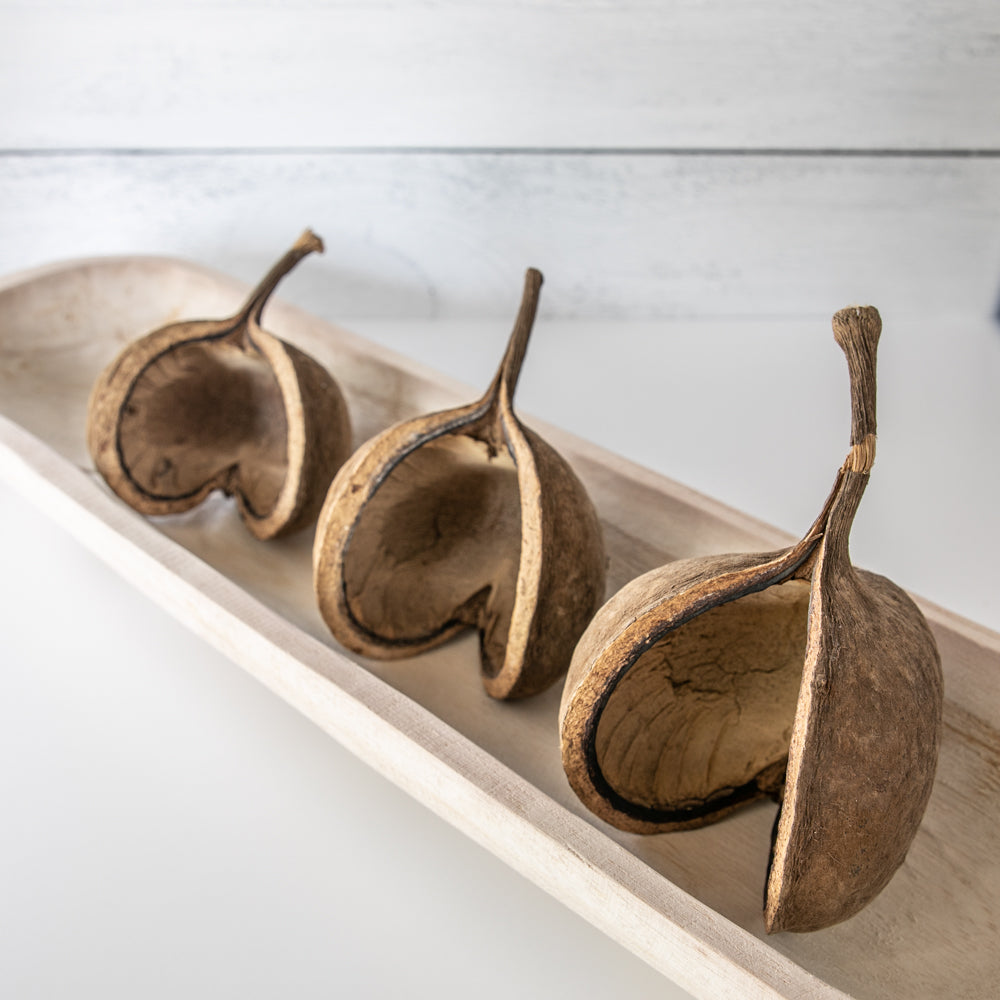 Dried Buddha Nuts Set of 3