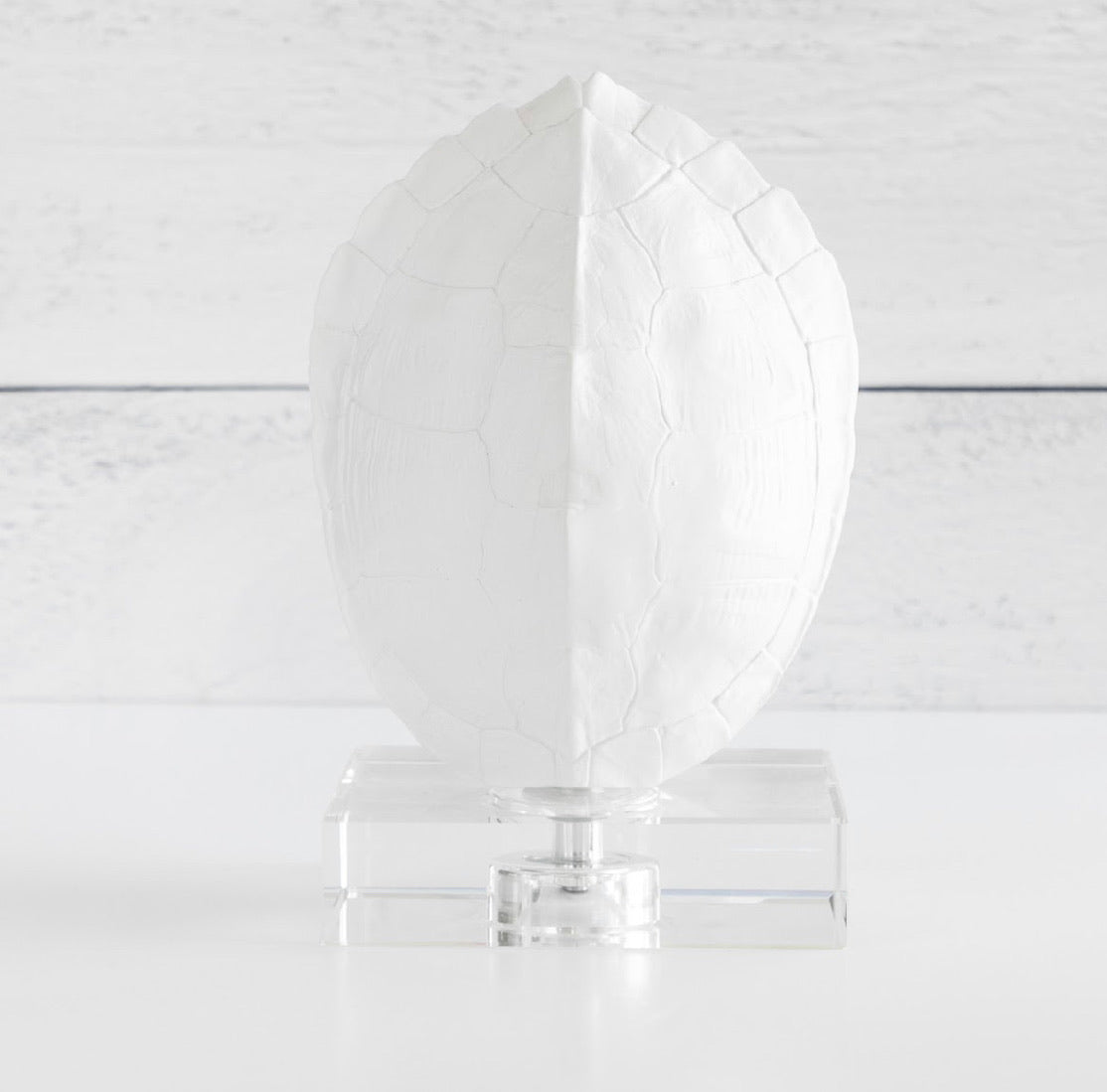 Turtle Shells on Crystal (Set of 2)