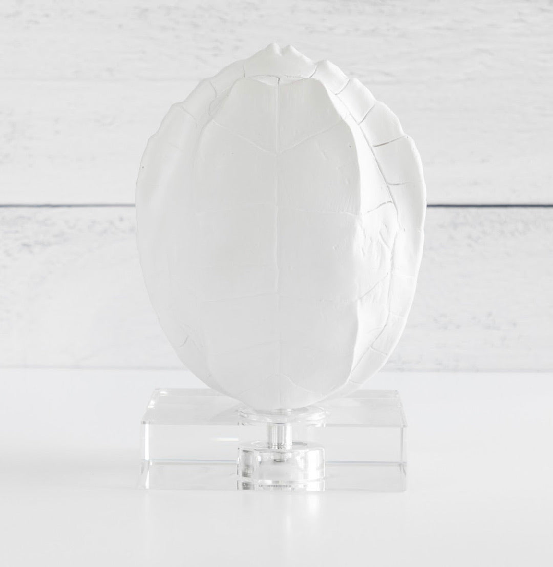 Turtle Shells on Crystal (Set of 2)