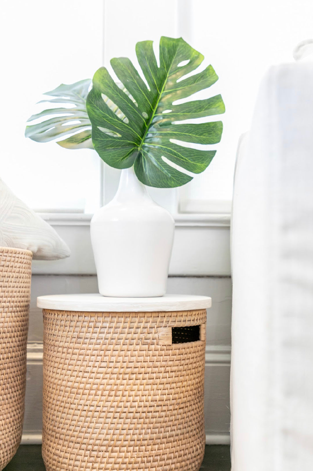 Monstera Leaf Bundle